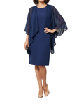 Sandra Darren Navy Chiffon Overlay Shift Dress | Size M | Excellent Pre-Owned